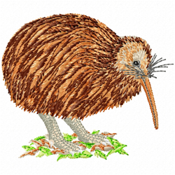 Kiwi Embroidery Design 1